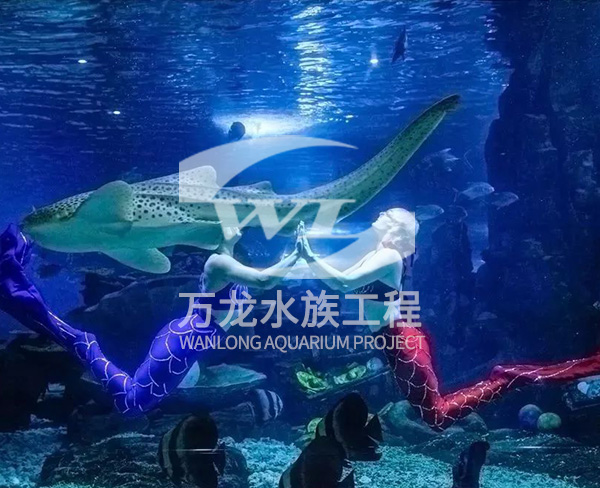 大型海洋主题公园