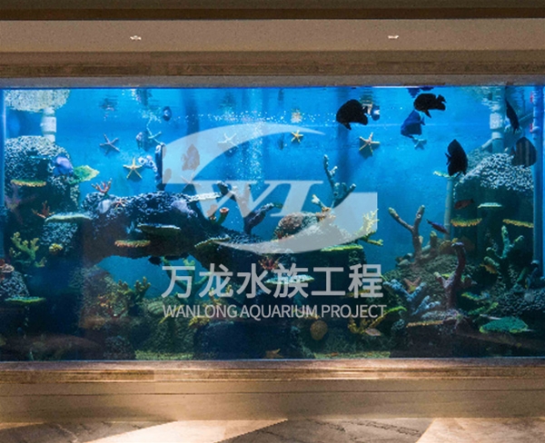 诸暨御江湾海底景观设计