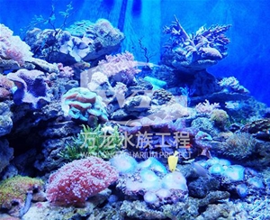 海底景观设计