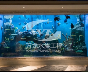 海底景观设计